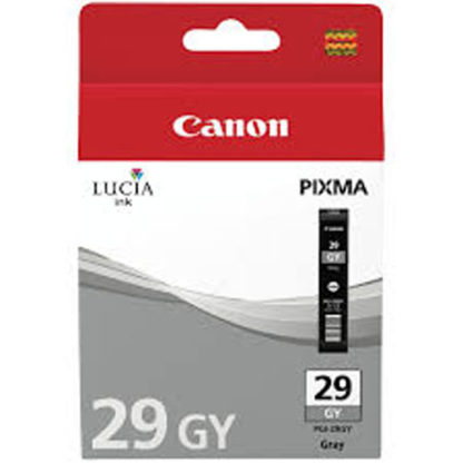 Canon Ink PGI29 Grey