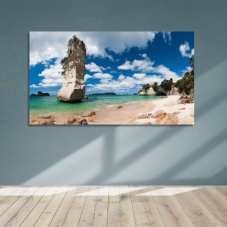 Rangitoto Island Framed Canvas Art 20"x40"