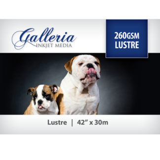 Galleria Lustre Paper 260gsm 42 inch roll