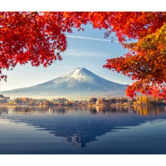 Mt Fuji Autumn Framed Canvas Art 40"X21"