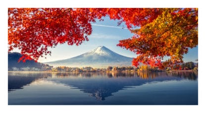 Mt Fuji Autumn Framed Canvas Art 40"X21"